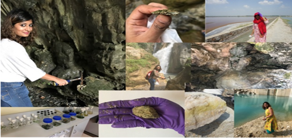 Microscopic view of Picocystis Salinarum thriving in saline-alkaline conditions