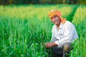 ₹4.27 Lakh crore disbursed under PM-Kisan scheme, strengthening rural economy: Centre