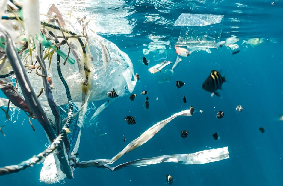 Plastic Pollution